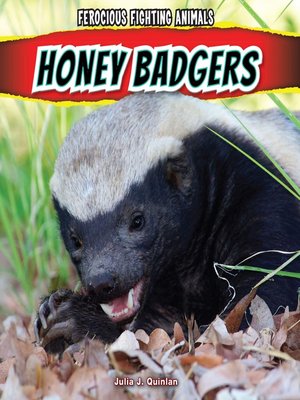 cover image of Honey Badgers